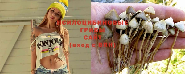 сатива Горно-Алтайск